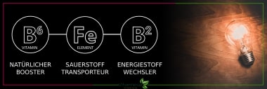 Natürlicher Energie Booster