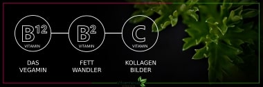 Ergänzung für Veganer