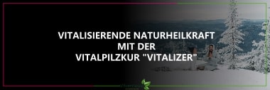 Vitalpilze für die Gesundheit